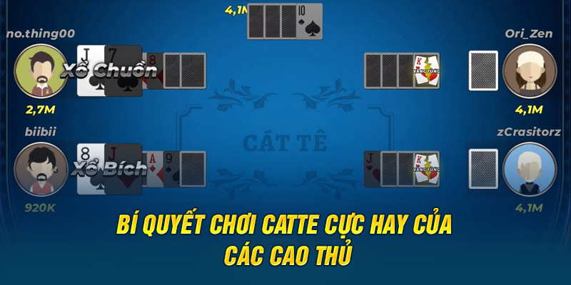 Bí quyết chơi Catte cực hay của các cao thủ