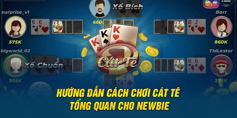 Hướng dẫn cách chơi catte tổng quan cho newbie