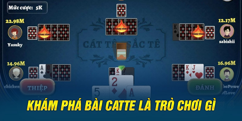 Khám phá bài catte là trò chơi gì