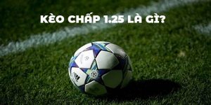 Kèo Chấp 1.25 Là Gì? Giải Mã Cách Đọc Tỷ Lệ Handicap 1.25