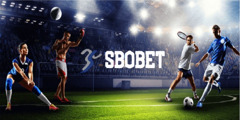 SBOBET - Cá Cược Thể Thao Hàng Đầu Với Công Nghệ Hiện Đại